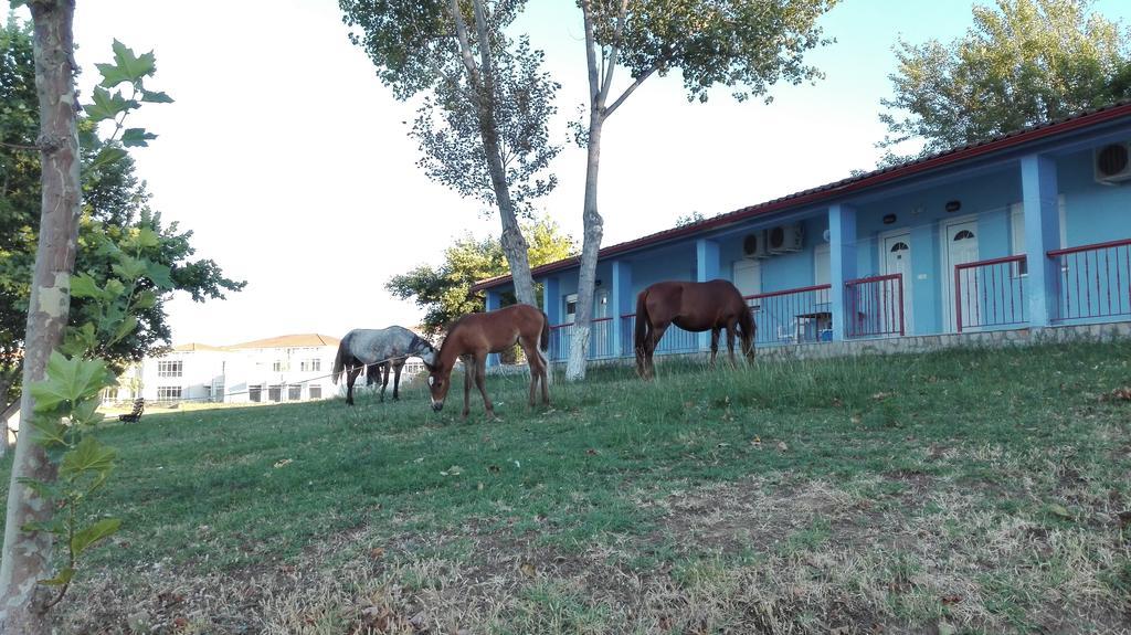 Familia Hotel Loutra Volvis Exteriér fotografie