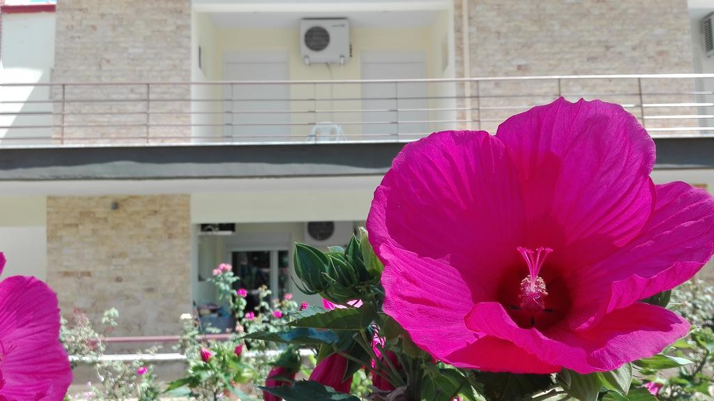 Familia Hotel Loutra Volvis Exteriér fotografie